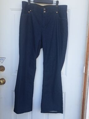 Woman Within Classic Blue Denim